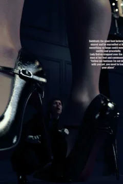 The Footman’s Demise (22)