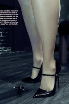 The Footman’s Demise (35)