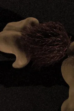 Vacation in Greece 2 (11)