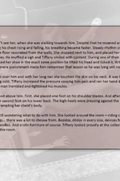 [Dollproject] Office Bimbo – Part 3-55