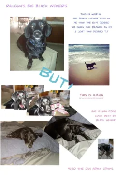 From Sneakers to Heels 3 (30)