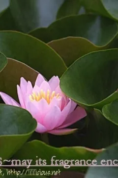 Our Fake Relationship (39)