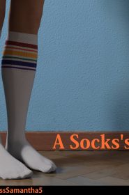 A Socks's Life (1)