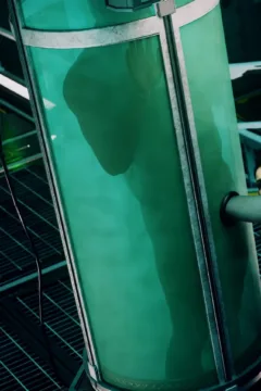 Jill & Ada Mission (11)