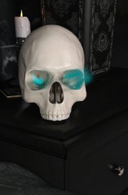 Skull (8)