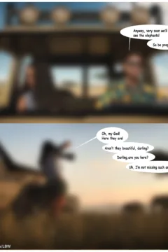 The Safari Adventure (5)