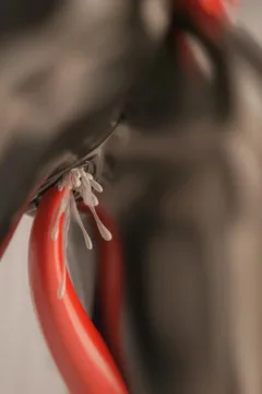 Bedlam’s Revenge 2 (188)