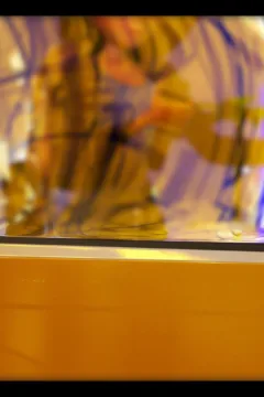 Incredible Desire 3 (123)