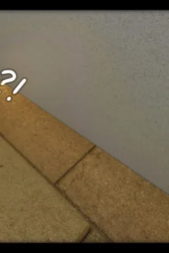 Incredible Desire 3 (219)