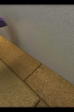 Incredible Desire 3 (220)