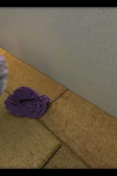 Incredible Desire 3 (224)