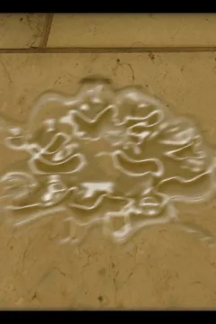 Incredible Desire 3 (240)