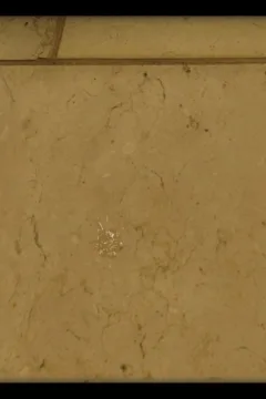 Incredible Desire 3 (241)