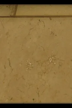 Incredible Desire 3 (244)