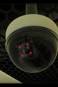 Incredible Desire 3 (370)