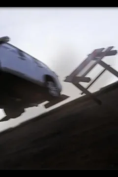 Incredible Desire 3 (8)