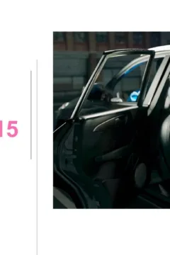 Pink Benefits 15 (338)