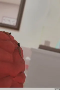 The Goddess Beyond the Glass (355)