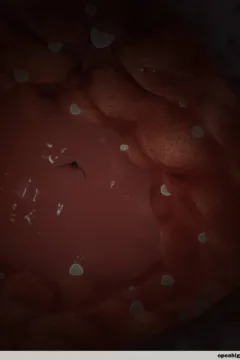 The Goddess Beyond the Glass (414)