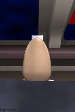 Eric W. Schwartz- Stellar (26)