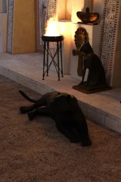 Pleasing the gods (3)