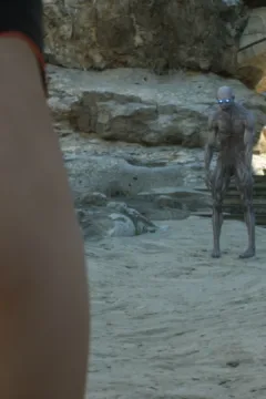 The First Contact (10)