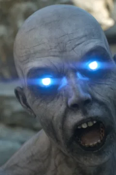 The First Contact (14)