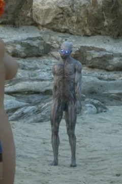 The First Contact (19)