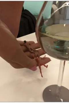 madam_president_eng_00130