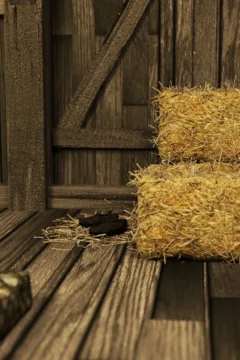 the Lovely Bridget 2 (12)