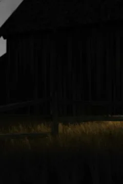 the Lovely Bridget 2 (5)