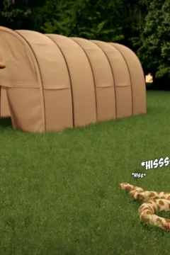 Lost in the Woods (54)