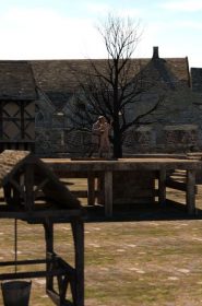 Medieval ambiance and nice executions (51)