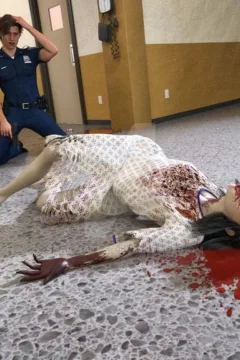 SILENT DECAY- POOLS OF BLOOD (Scene 25) – spartiAtes