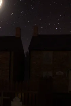 The Halloween Party (4)