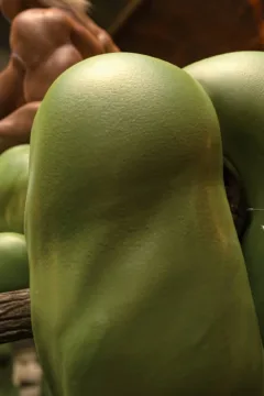 A New Challenger (11)