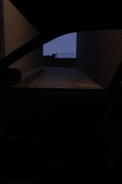 Alone on the Town (28)