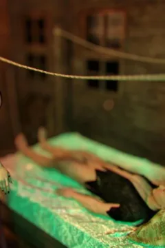 Jessenia the slut (5)