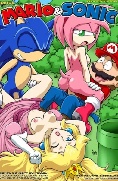 [Palcomix] Mario&Sonic