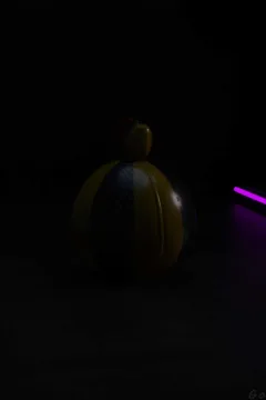 Sombra’s playtime (25)