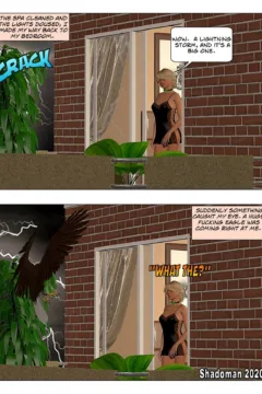 Transgender Confidential 04 (125)