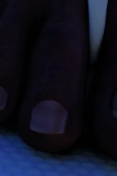 A Brand New Little View (22)