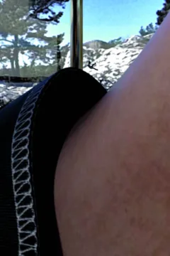 A Brand New Little View (42)