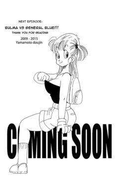 Bulma And Friends (16)