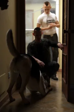 CRS – You wish (23)