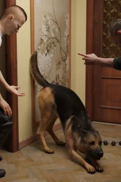 CRS – You wish (26)