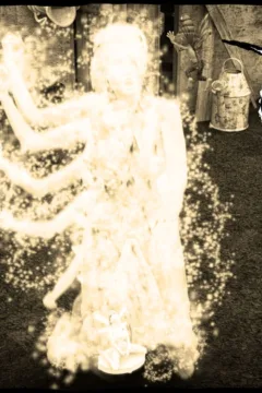 Do not cross the fae (11)