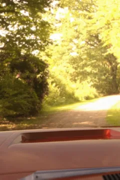 First and Foremost (3)