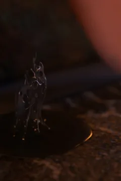 The Last Trinity (20)