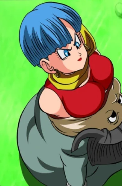 (Dicasty) BULMA Y PETISA SAGA MAJIN BU